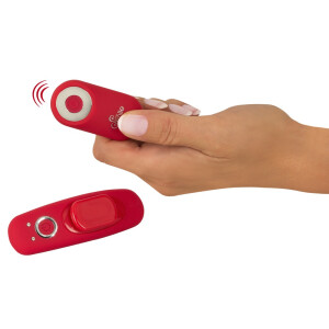 Sweet Smile RC Panty Vibrator