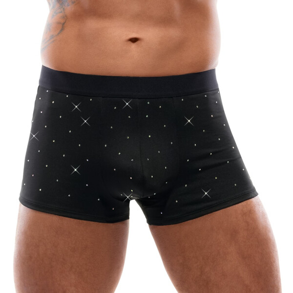 Herren Pants