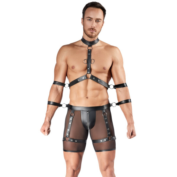 Herren Harness und Pants