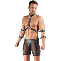 Herren Harness und Pants