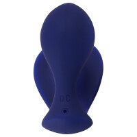 Sweet Smile RC Anal Panty Vibrator