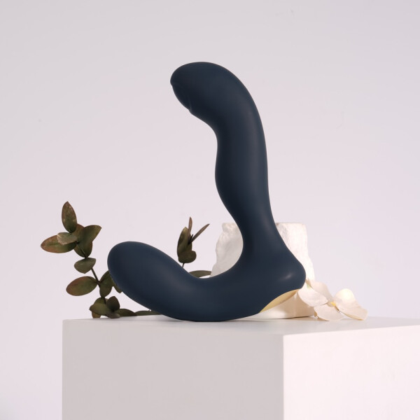 Flexibler Analvibrator mit 2 Motoren